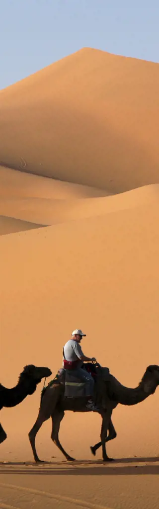 Tunesien – Kameltrekking durch die Wüste Sahara
